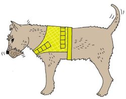 reflective mesh dog vest